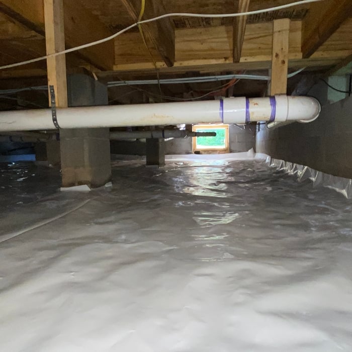 Mold Testing & Remediation Project