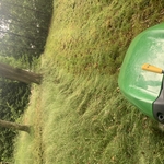 Lawn and Yard Work Project