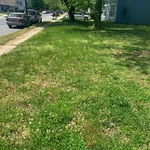 Yard is over grown in this picture and I am in the process of mowing it.