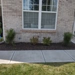 Landscaping Project