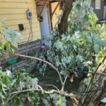 Storm Damage