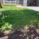 Overrun with dandelions and crabgrass, this lawn was in desperate need of our help!