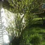 Additional Photos
