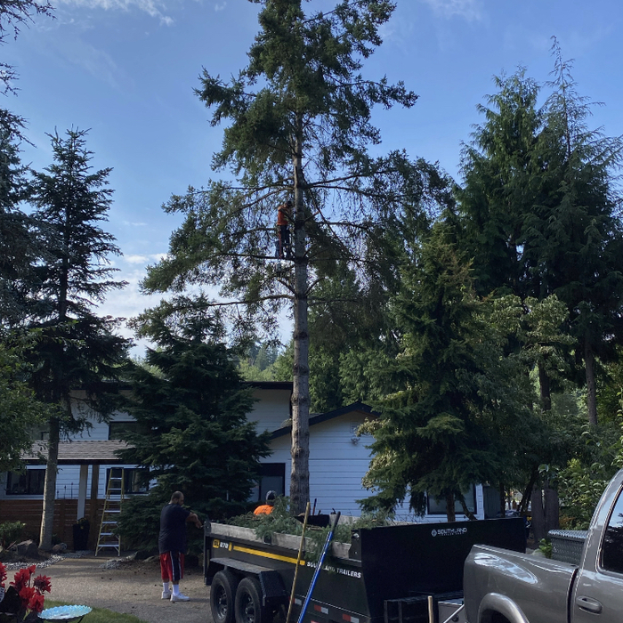 Tree Service Project