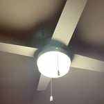 Ceiling fan