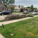 Brush Removal Project