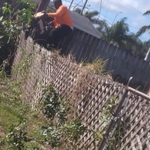 Cut down trees