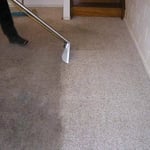 The best carpet cleaning