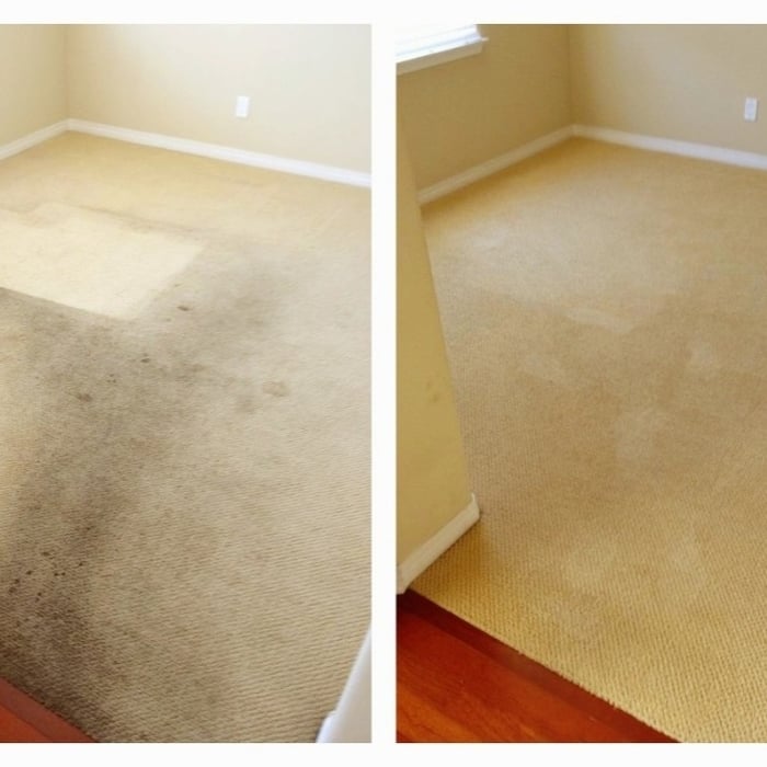 The best carpet cleaning