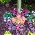 Additional Photos