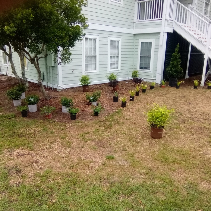 Additional Photos