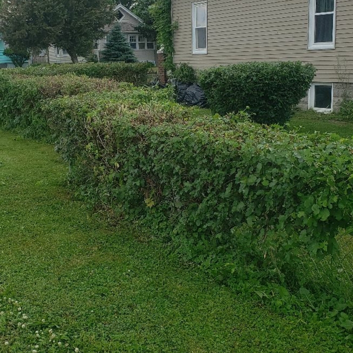 Additional Photos