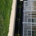 Landscaping Project
