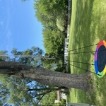 Tree Service Project