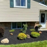 Flower beds