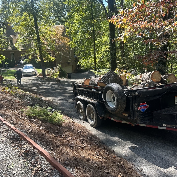 Tree Service Project