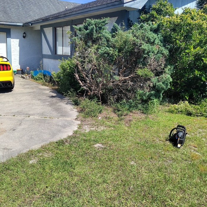 Lawn & Yard Work Project