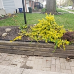 Dirt Removal