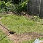 Landscaping Project