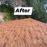 Additional Photos