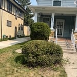 Bush Trimming