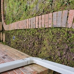Hideaway Full Yard and Bed Clean-up, Restoration and Rocking
