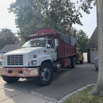 Tree Service Project