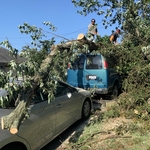 Tree Service Project