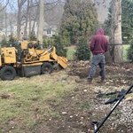 Tree Service Project