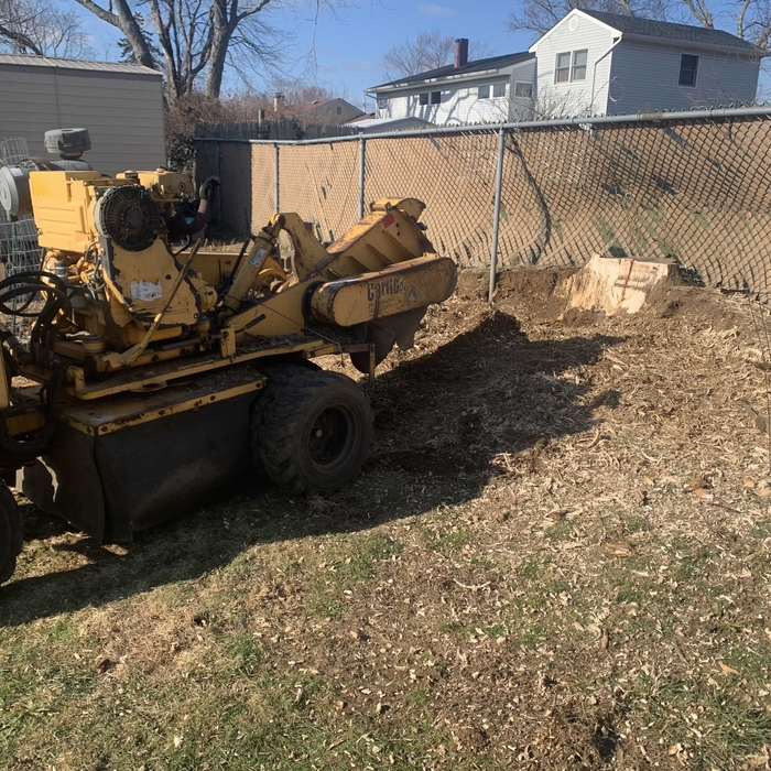 Tree Service Project