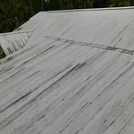 Pressure Washing Project