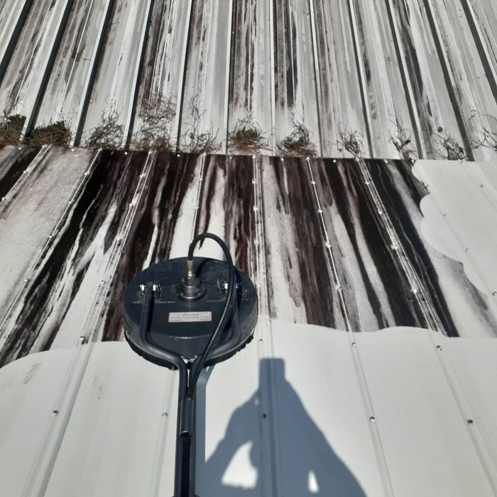 Pressure Washing Project