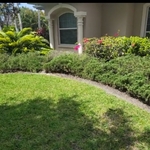 Front yard freshen