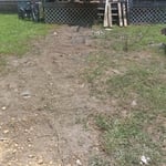 Tree and deck work