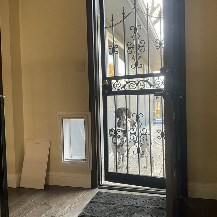 Additional Photos