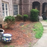 Paver Patio
