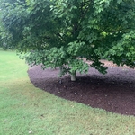 Landscaping Project