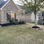 Mulch & Topsoil Project