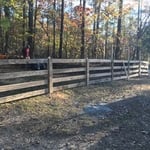 Fencing project