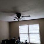 Ceiling fans