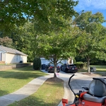 Lawn service