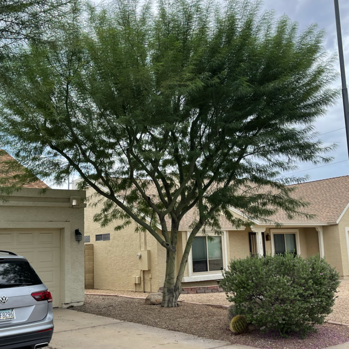 Additional Photos