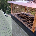 Chimney Repair Project