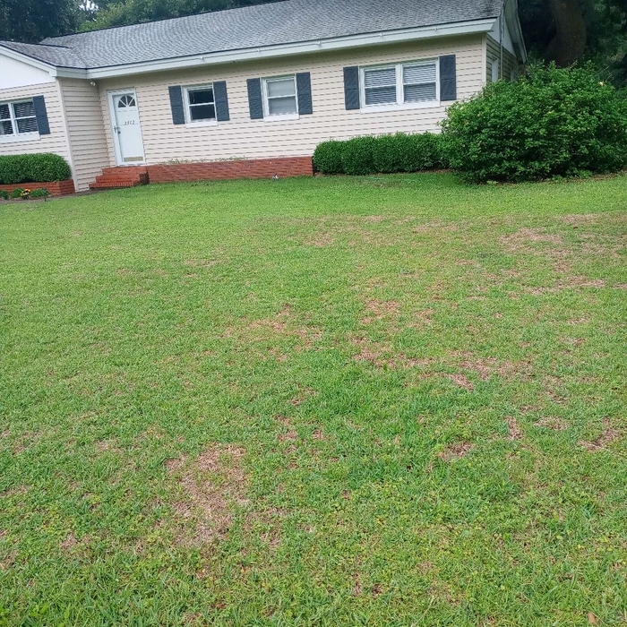 Additional Photos