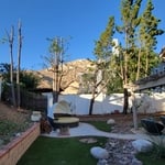 Tree Service Project