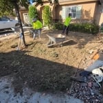 Landscaping Project