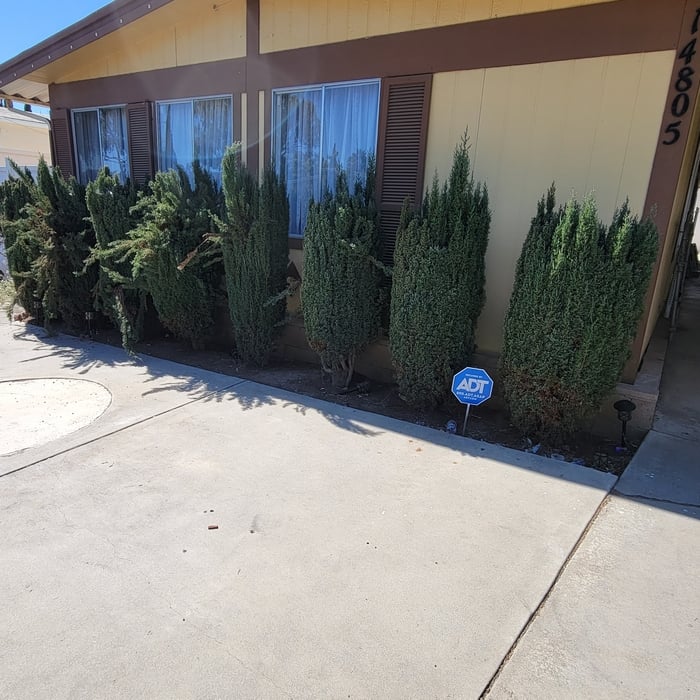 Tree Service Project