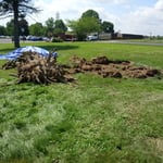 Additional Photos