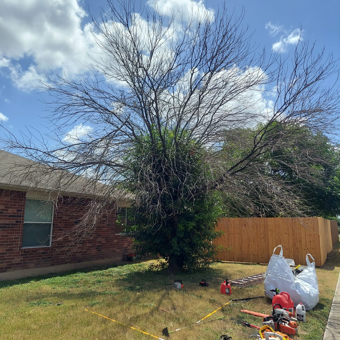 Additional Photos