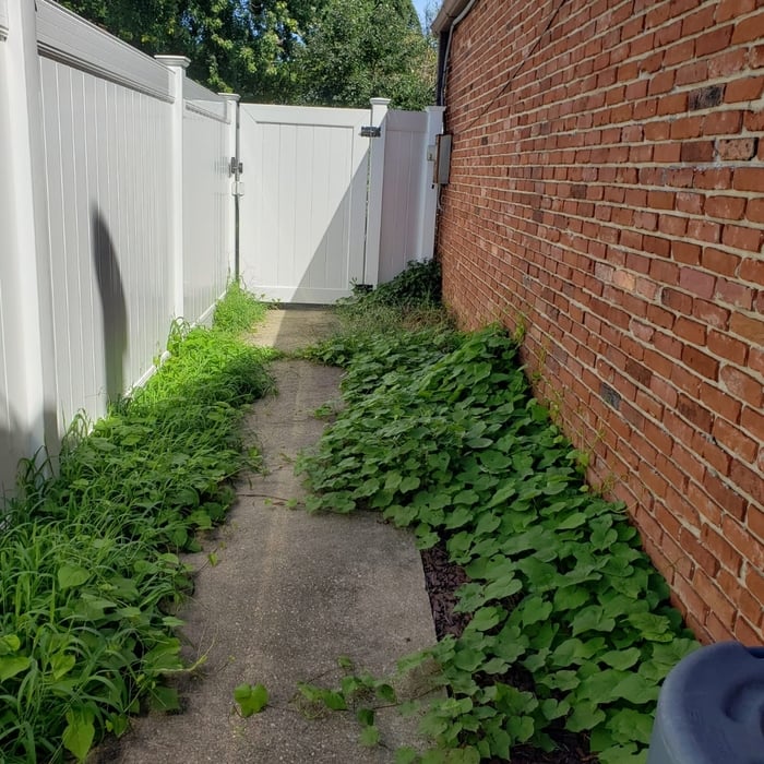 Additional Photos